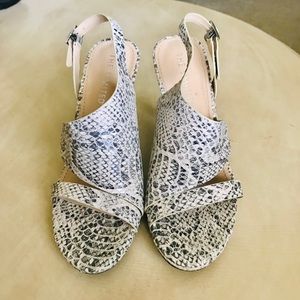 The Limited Snake Print Heel